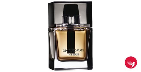 dior homme intense nasil|dior intense cologne 2007.